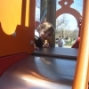 Tuesday at the Park2