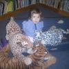 Library Tigers