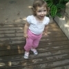 phipps6