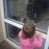 Kitty Window