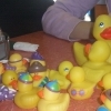 duckies1
