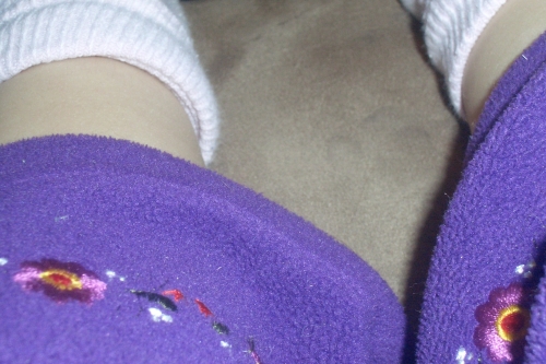 Maya's View