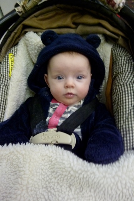 Hailey Bear