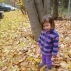 Fall Leaves1