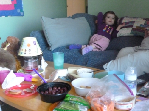 Picnic Lunch2