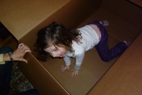 Guitar Box